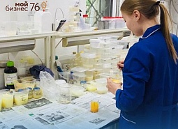 Ярославский производитель упаковки для сыров впервые вышел на экспорт благодаря господдержке