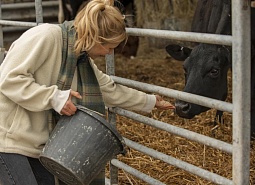 Производителям кормов для животных компенсирует 50% затрат на оборудование для маркировки