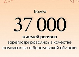 Более 37 тысяч жителей Ярославской области зарегистрировались в качестве самозанятых